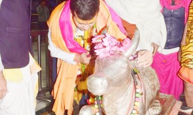 नंदी को लगा दी 'अर्जी': आगे अब महाकाल की 'मर्जी'.... !   