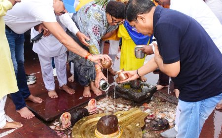 हंगामा है क्यों बरपा, चप्पल जो पहनी है  ... !